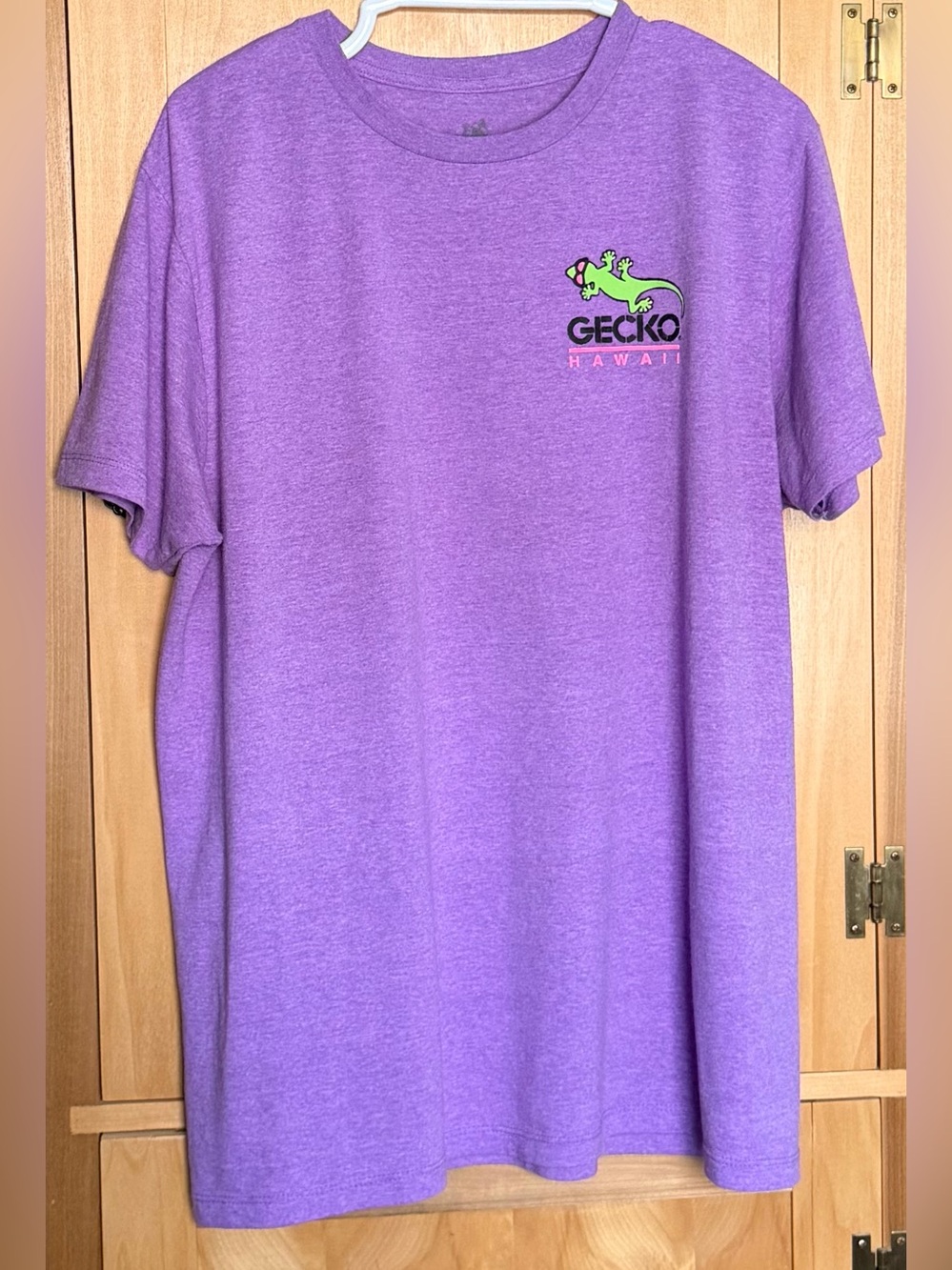 Gecko Hawaii Explore The World Tee